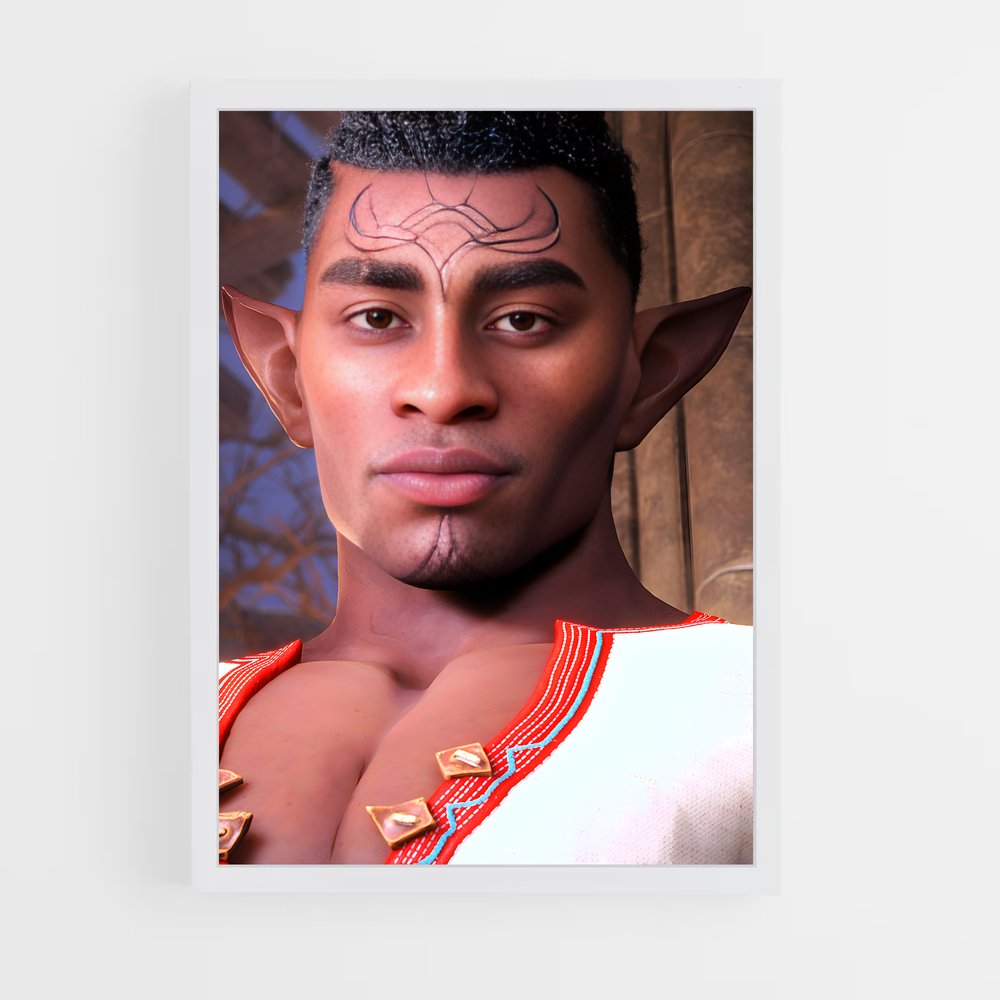 Poster Warden des Ombres – affiche Dragon age (vue 3)